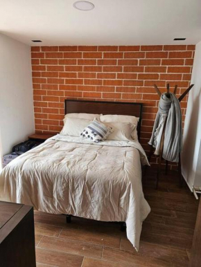 Cozy Downtown Apartment